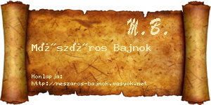 Mészáros Bajnok névjegykártya